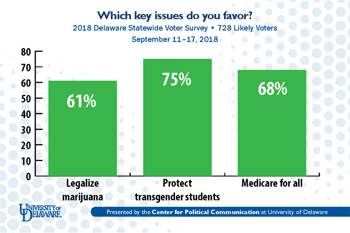 2018 Delaware voters poll: Which key issues do you favor?
